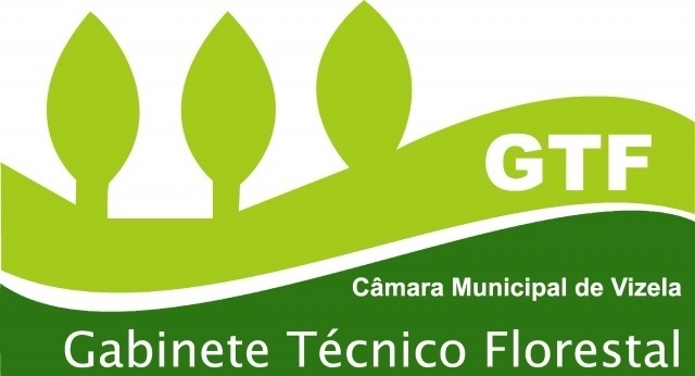 logo gtf